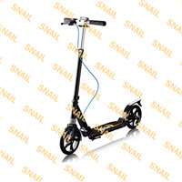 Folding  Scooter