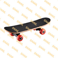 Skate Board