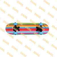 Skate Board