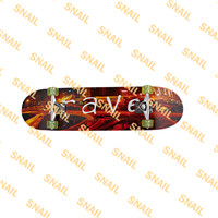 Skate Board