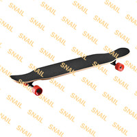 Skate Board